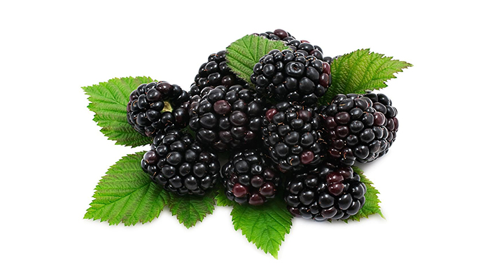 iqf-blackberry